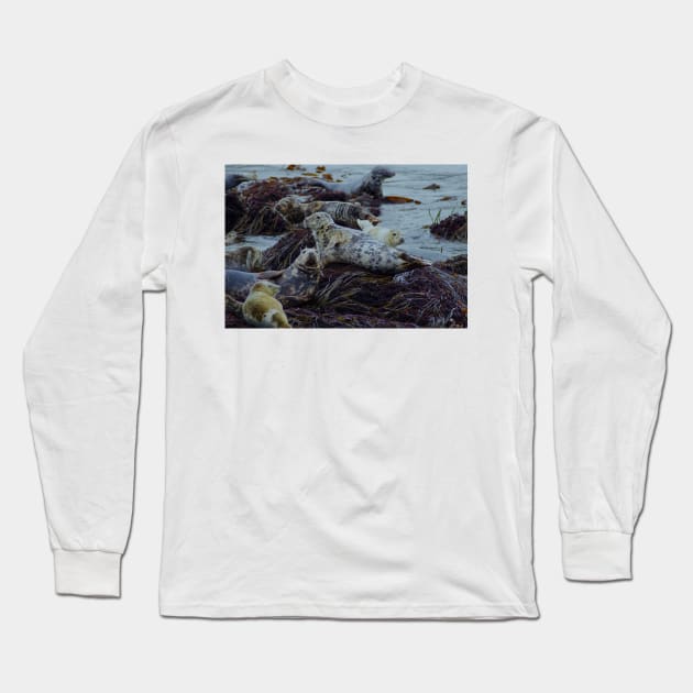 CHASING A RED HERRING..? Long Sleeve T-Shirt by dumbodancer